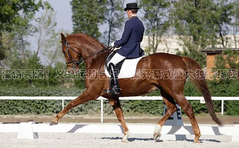 8868体育官网app下载江铃新能源深情表演！义乌运动会足球操开幕式盛大独家揭秘