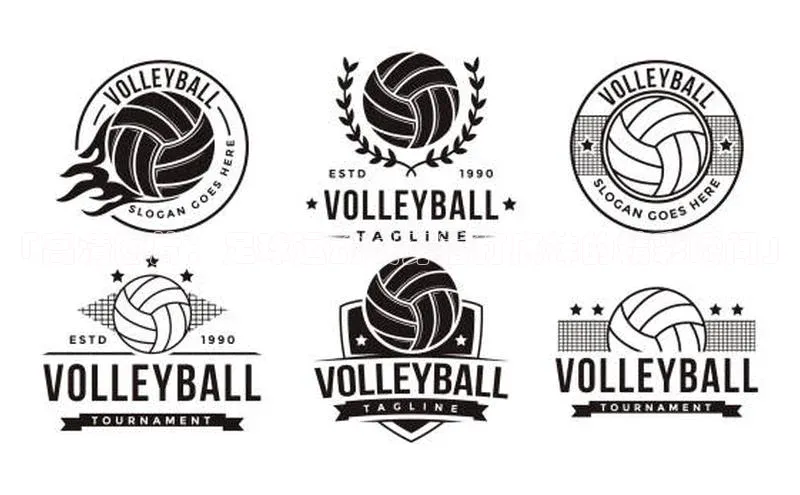 8868官方网站登录入口百度移动开放平台「高清图片：足球运动员穿着打底袜的精彩瞬间」