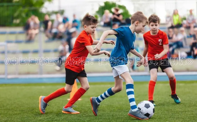 8868体育登录入口进入官网百度手机输入法《中国足球运动员齐聚：探秘国内足球明星群体》