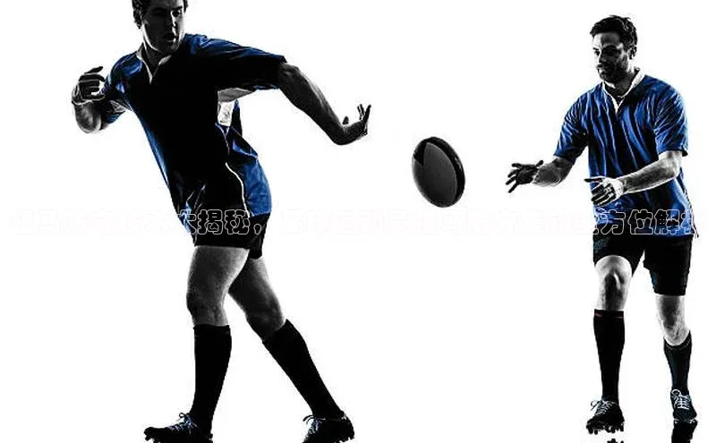 8868体育官方入口58同城祖马防守技术大揭秘，足球运动员祖马防守集锦全方位解析