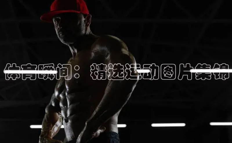 体育瞬间：精选运动图片集锦