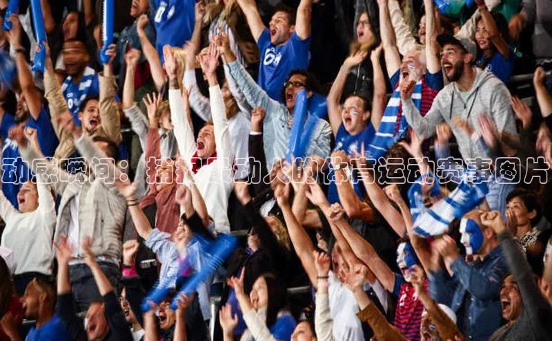 动感瞬间：捕捉最动人的体育运动赛事图片