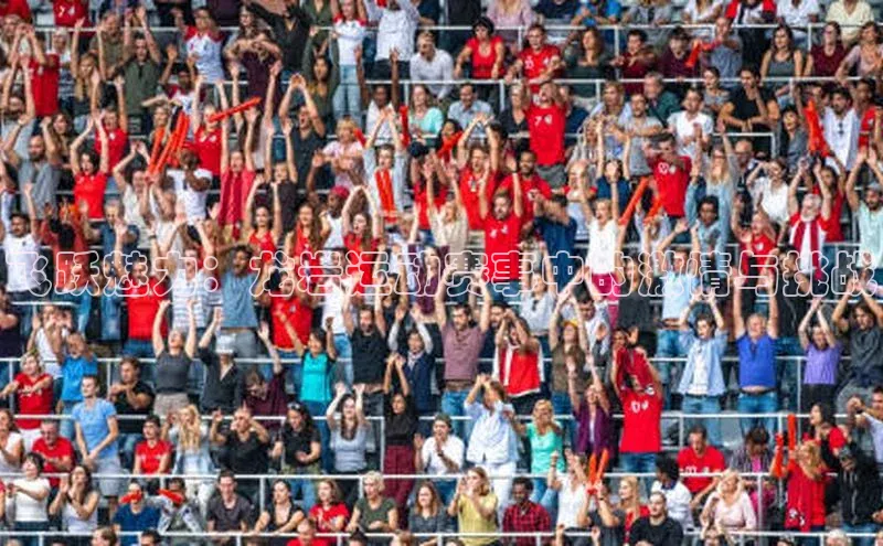 飞跃魅力：龙岩运动赛事中的激情与挑战