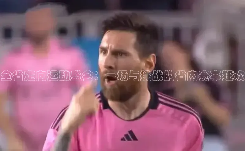 全省定向运动盛会：一场与挑战的省内赛事狂欢