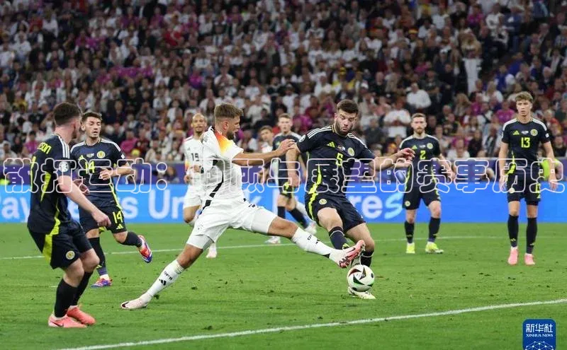 散打运动：回顾与展望的赛事历史