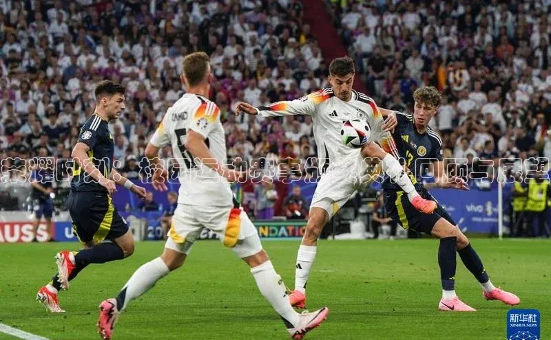 荣耀时刻：校园运动赛事颁奖典礼回顾与展望