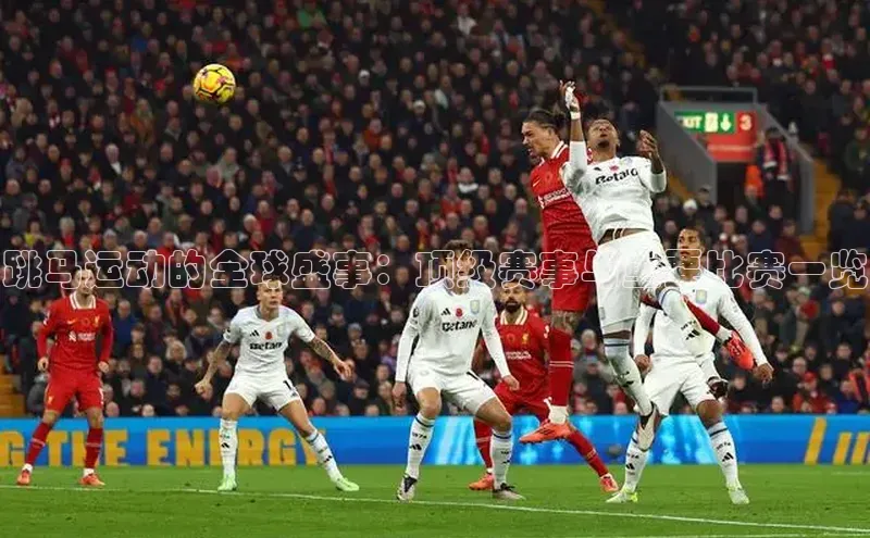 跳马运动的全球盛事：顶级赛事与重要比赛一览