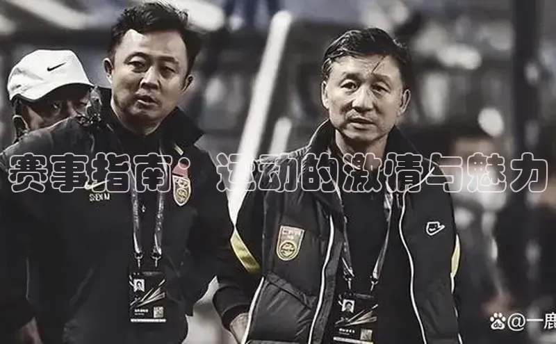 赛事指南：运动的激情与魅力