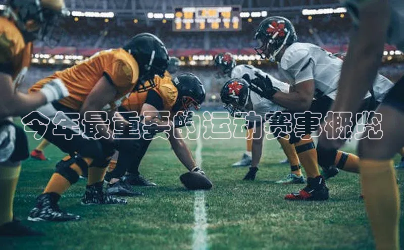 今年最重要的运动赛事概览