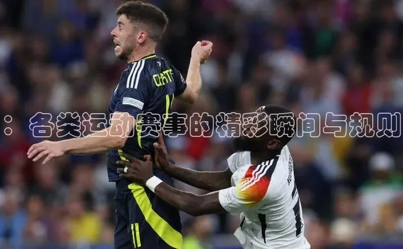 ：各类运动赛事的精彩瞬间与规则