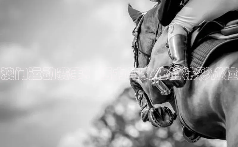 8868体育app官方网站