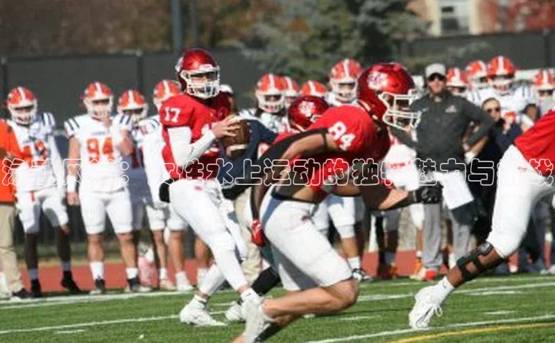 8868体育官网进入