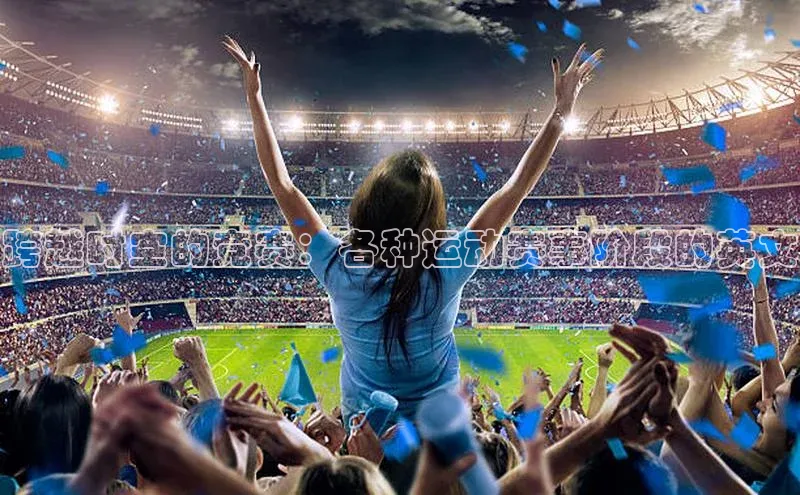 跨越时空的竞赛：各种运动赛事阶段的英文