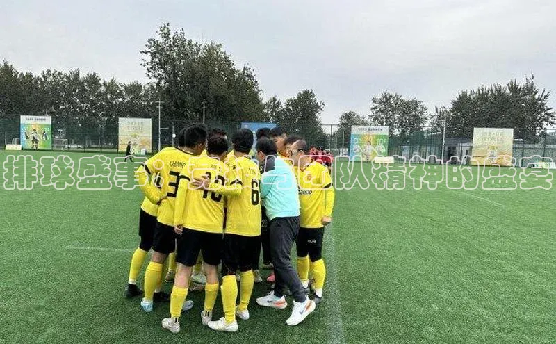 排球盛事：竞技与团队精神的盛宴